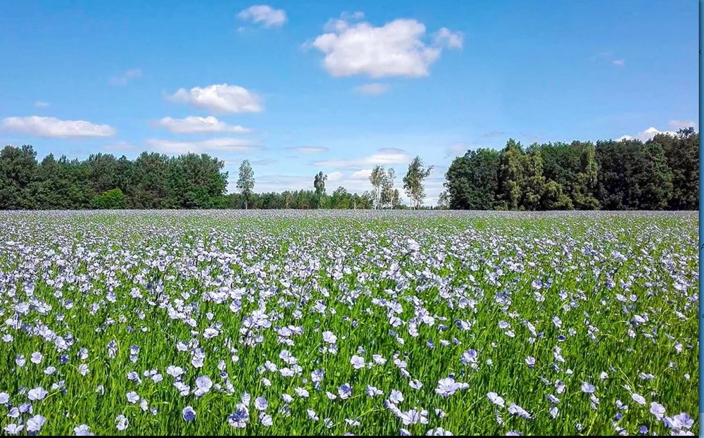 Русский костюм как вид народного творчества