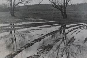 Бездорожье